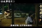 吾为君亡在线观看,穿越时空的忠诚传奇