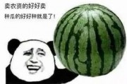甜瓜载具爆料怎么做的视频,轻松上手，打造热门短视频