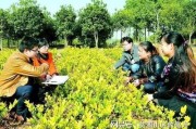 常绿干部爆料视频大全集,全景呈现权力与真相的较量