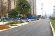 南充春江路最新爆料,最新爆料揭秘未来繁华景象