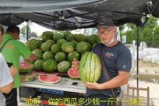 网红旅游吃瓜走红,揭秘网红打卡地的美食魅力